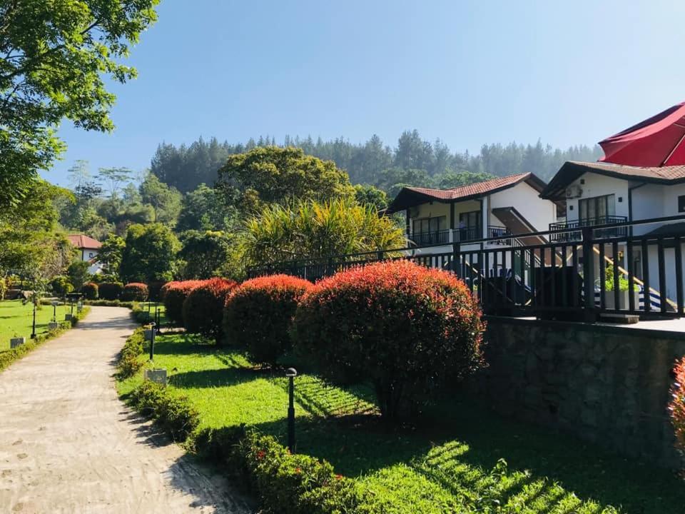 Okwin Resort Kandy Kültér fotó