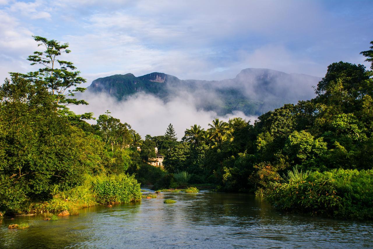 Okwin Resort Kandy Kültér fotó