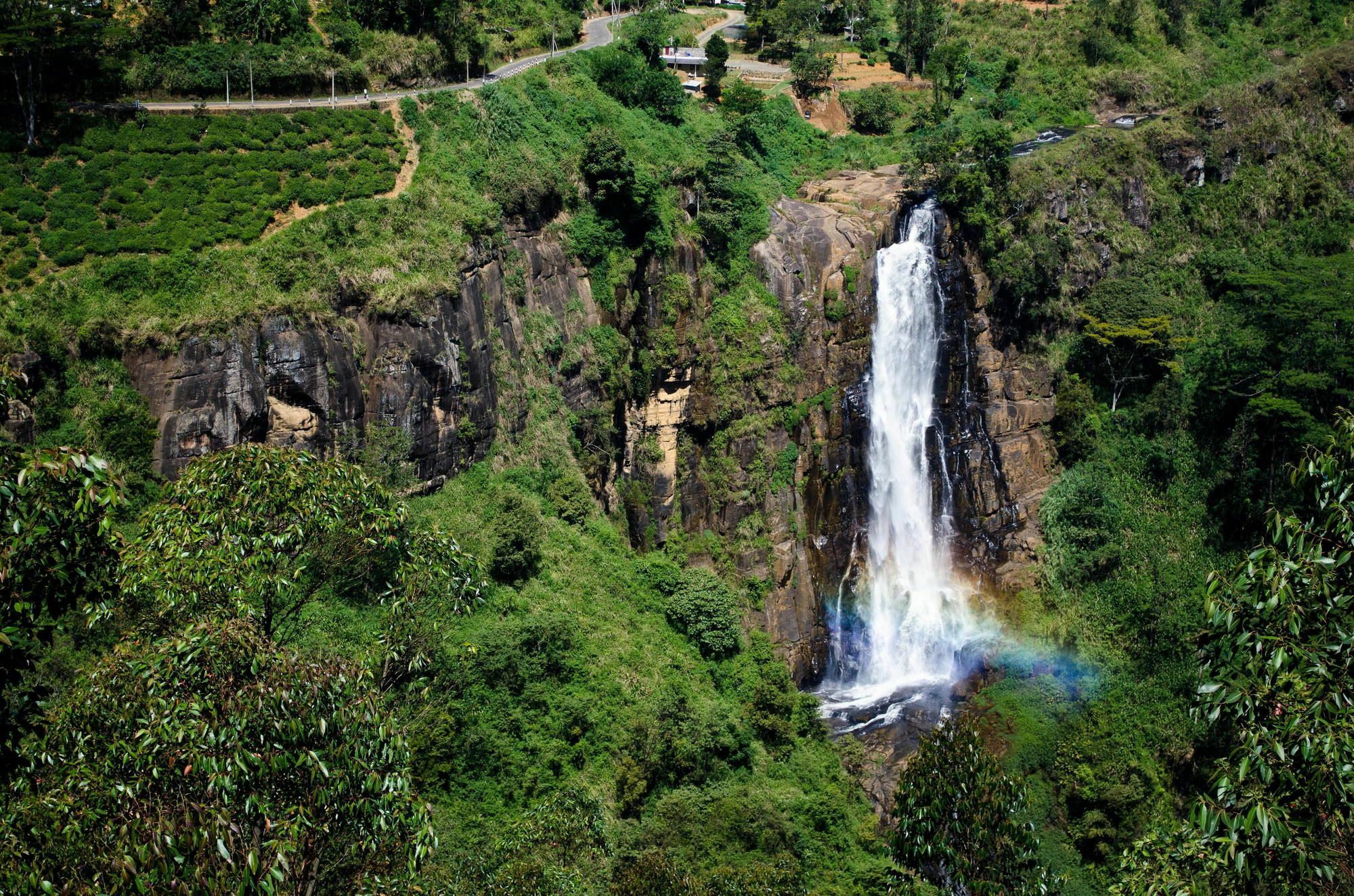 Okwin Resort Kandy Kültér fotó
