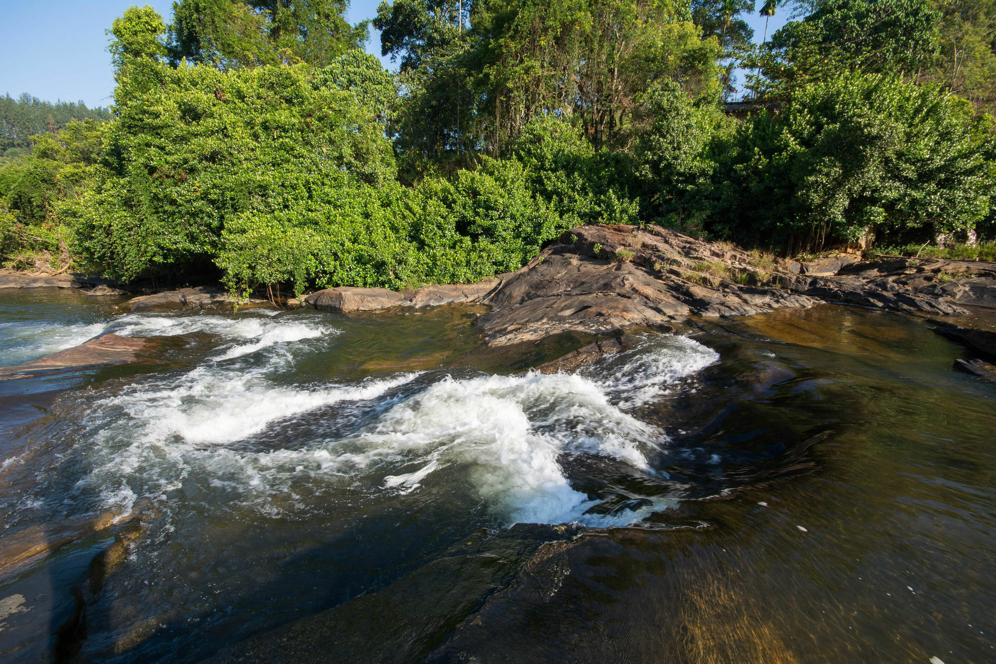 Okwin Resort Kandy Kültér fotó